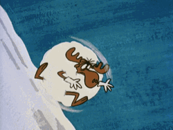 Moose Rolling And Forming A Snowball GIF