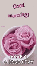 Morning Blessings Cup Of Roses