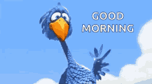 Morning Blue Bird