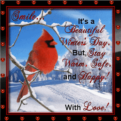 Morning Glory Winter Love GIF