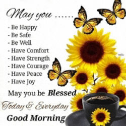 Morning Goodmorning Meme GIF