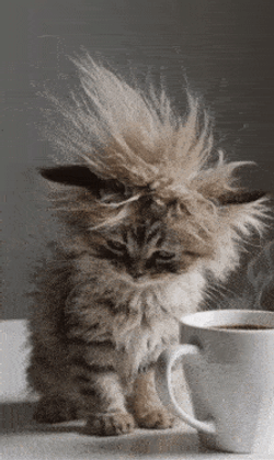 Morning Morning Coffee GIF