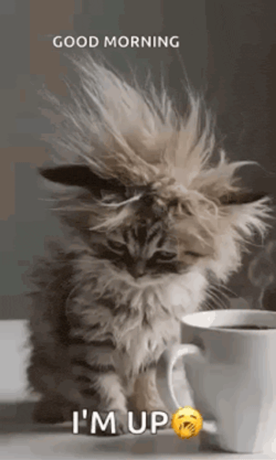 Morning Morning Coffee GIF