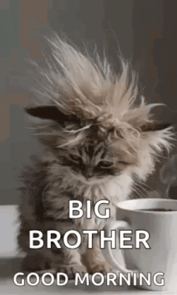 Morning Morning Coffee GIF