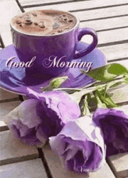 Morning Violet Rose