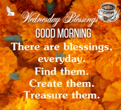 Morning Wednesday Orange Flowers Blessings Life Quote GIF