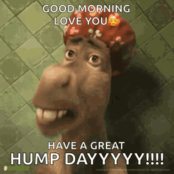 Morning Wednesday Shrek Donkey Shouting GIF