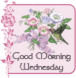 Morning Wednesday Sparkling Pretty Flowers GIF