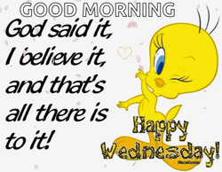 Morning Wednesday Tweety Bird Winking GIF