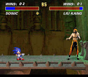 Mortal Kombat Sonic Finish Him GIF