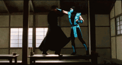 Mortal Kombat Sub Zero 3d Fighting