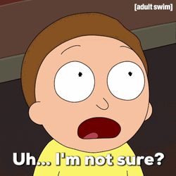 Morty Smith Im Not Sure GIF