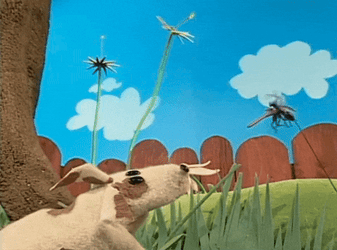 Mosquito Barking GIF