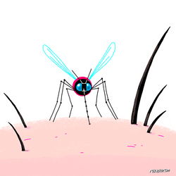 Mosquito Blood Explode GIF