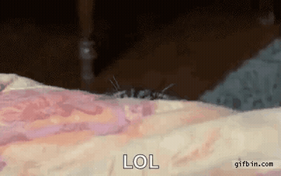 Mosquito Crawling On Arm Saying LOL GIF