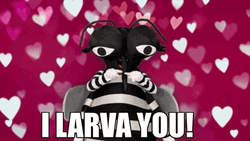 Mosquito Heart Finger Sign GIF