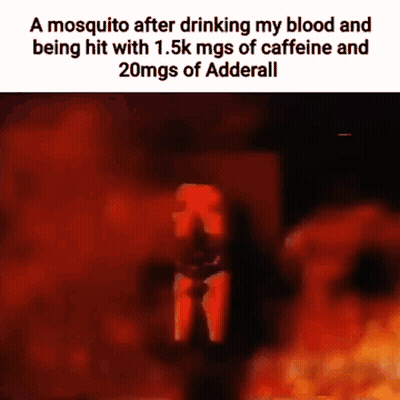 Mosquito Hit With Caffeine And Adderall GIF