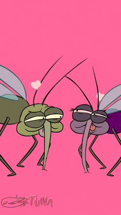 Mosquito's Sudden Heart Break GIF