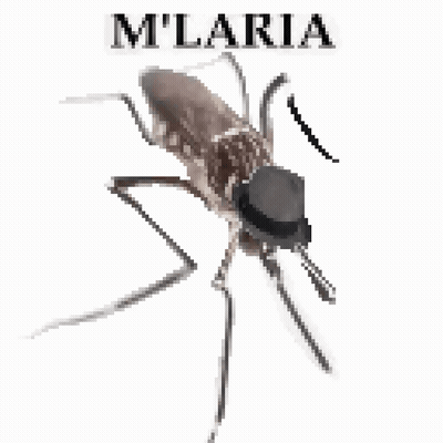 Mosquito With Hat Saying Milaria GIF