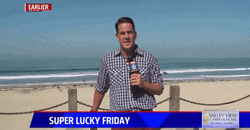 Moth Disturbing The Newscaster GIF