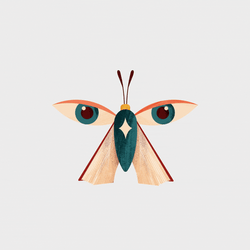 Moth Face Art GIF