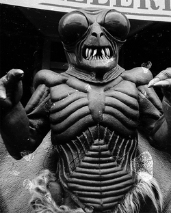 Moth Getting Electrocuted GIF