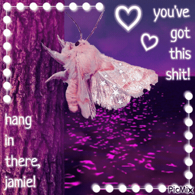 Moth Hanging From Tree Saying You've Got This Shit GIF