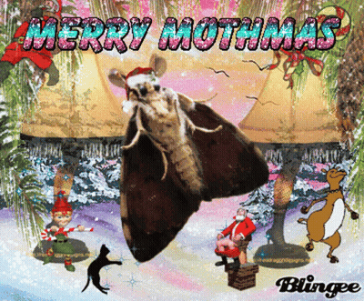 Moth In Santa Hat Merry Mothmas GIF