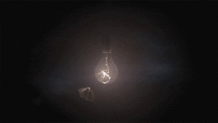 Moth Light Reflection GIF