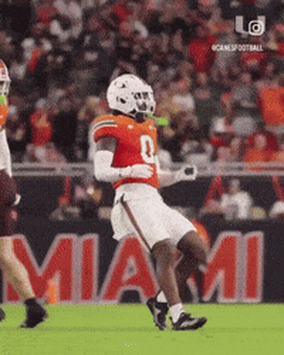 Moth Saying Mothin GIF