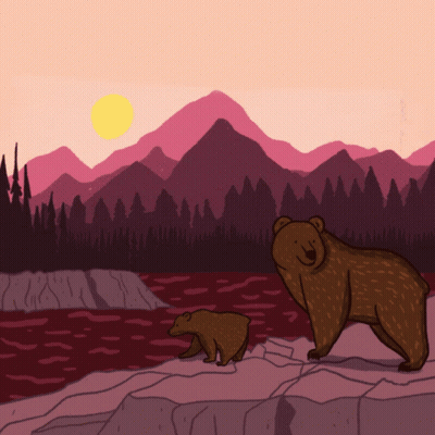 Mother Bear And Cub On Rock Near River GIF