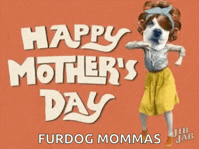 Mother's Day Card With Dog GIF