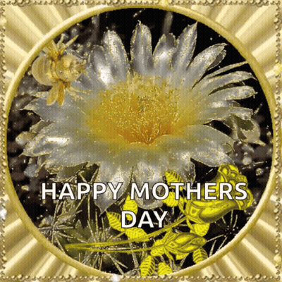 Mother's Day Card With Flower And Bee GIF