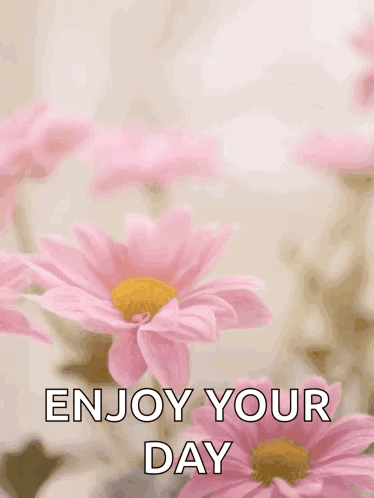 Mother's Day Card With Pink Daisies And Enjoy Your Day GIF