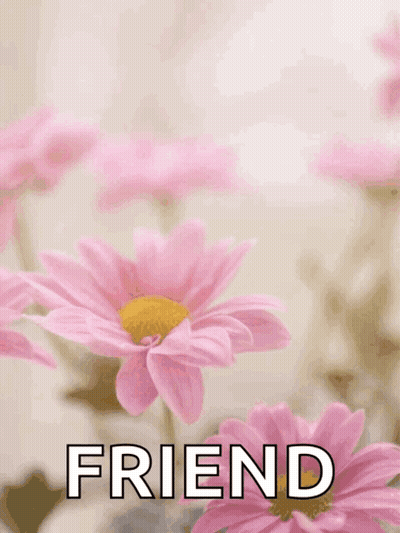 Mother's Day Card With Pink Daisies GIF