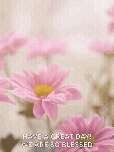 Mother's Day Card With Pink Flowers GIF