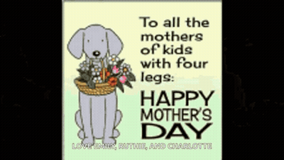 Mother's Day Card With Roses And Chocolates GIF