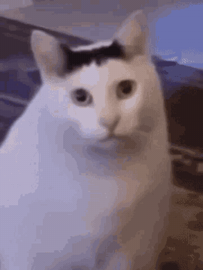 Mother's Day Card With Smiling Dog GIF