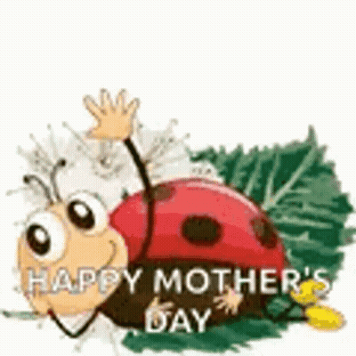 Mother's Day Card With Two Hugging Koalas GIF
