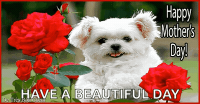Mother's Day Card With White Dog And Red Roses GIF