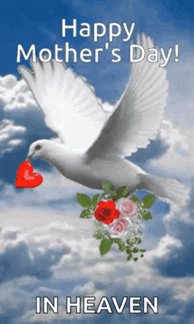 Mother's Day Card With White Dove Holding Heart