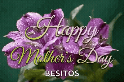 Mother's Day Greeting Card Purple Flowers GIF