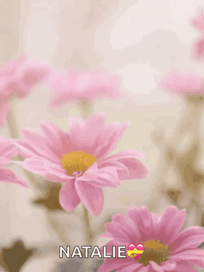 Mother's Day Greeting Card With Pink Flowers GIF