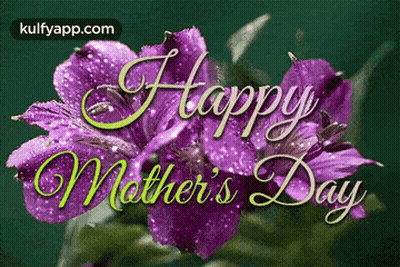 Mother's Day Greeting Card With Purple Flowers GIF