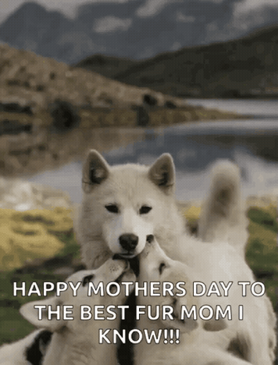 Mother's Day Greeting Card With Two Dogs GIF