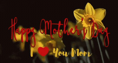 Mother's Day Greeting Card With Yellow Flower GIF