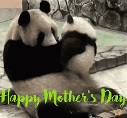 Mother's Day Panda GIF