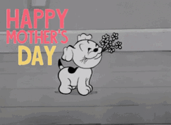 Mothers Day Funny Dog Bringing Flowers GIF