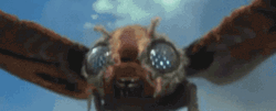Mothra Mosura Monster Fight GIF
