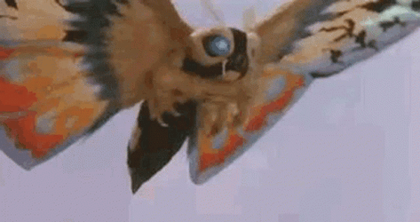 Mothra Superspecies Power GIF